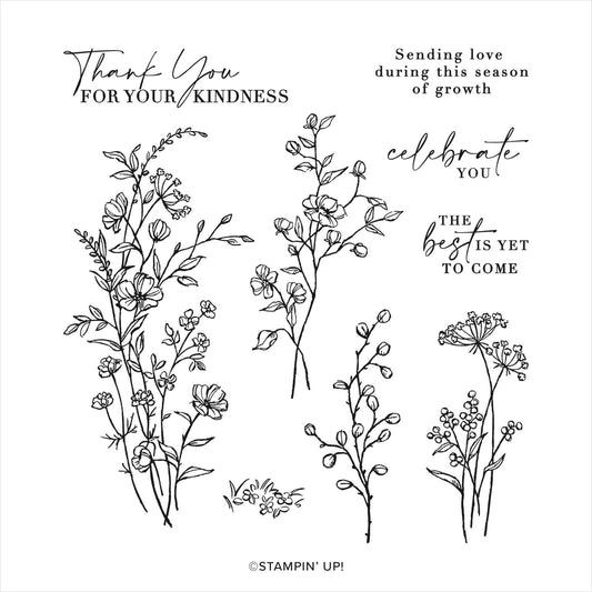 Stampin' Up! Dainty Delight Bundle